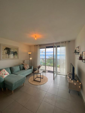 Appartement avec vue imprenable sur le Lac Leman